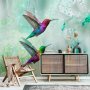 Fototapetti - Colourful Hummingbirds (Green)