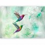 Fototapetti - Colourful Hummingbirds (Green)