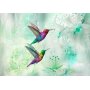 Fototapetti - Colourful Hummingbirds (Green)