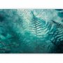 Fototapetti - In a forest retreat - abstract composition with ferns and patterns