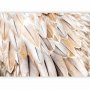 Fototapetti - Close-up of birds wings - uniform close-up on beige bird feathers