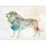 Fototapetti - King of the animals - lion on a solid textured background with coloured accent