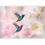 Fototapetti - Colourful Hummingbirds (Pink)