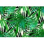 Fototapetti - Tropical Leaves