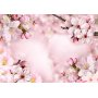 Fototapetti - Spring Cherry Blossom