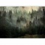 Fototapetti - Misty Beauty of the Forest