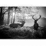 Fototapetti - Deers in the Morning