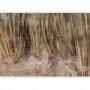 Fototapetti - Dry leaves - landscape of tall grasses in boho style with paint patterns