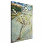 Taulu - Blossoming Pear Tree