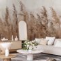 Fototapetti - Tall Grasses - Brown