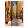 Sermi - Colourful Street in Tuscany