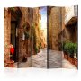 Sermi - Colourful Street in Tuscany II