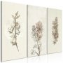 Taulu - Herbarium (3 Parts)