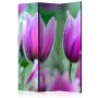 Sermi - Purple spring tulips