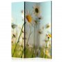 Sermi - Daisies - spring meadow