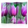 Sermi - Purple spring tulips II