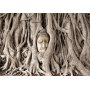 Itseliimautuvat fototapetit - Buddhas Tree