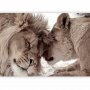 Itseliimautuvat fototapetit - Lion Tenderness (Sepia)