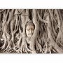 Fototapetti - Buddhas Tree