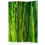 Sermi - Bamboo Forest