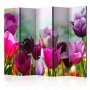 Sermi - Beautiful Tulips II