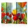 Sermi - Spring Tulips II