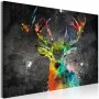 Taulu - Rainbow Deer (1 Part) Wide