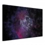 Taulu - Cosmic Lion (1 Part) Wide