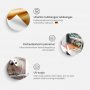 Fototapetti - Playful Dogs