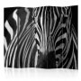 Sermi - White with black stripes II