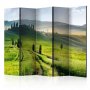 Sermi - Morning in the countryside II