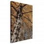 Taulu - Autumn Colours (1 Part) Vertical