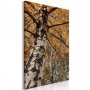 Taulu - Autumn Colours (1 Part) Vertical
