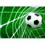 Fototapetti - Goal!