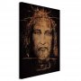 Taulu - Shroud of Turin (1 Part) Vertical