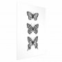 Juliste - Three Butterflies