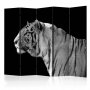 Sermi - White tiger II