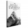 Taulu - Mount Everest (1 Part) Vertical