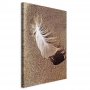 Taulu - Feather on the Sand (1 Part) Vertical