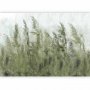 Fototapetti - Tall Grasses - Green