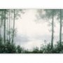 Fototapetti - Retro Landscape - Grove Trees and Pond in Patinated Shades of Green