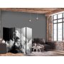 Sermi - Clouds Like a Dream: Let the Sun Light Up Your Day – A Visual Feast
