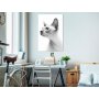 Taulu - Hairless Cat (1 Part) Vertical