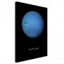 Taulu - Neptune (1 Part) Vertical