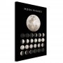 Taulu - Moon Phases (1 Part) Vertical