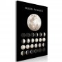 Taulu - Moon Phases (1 Part) Vertical