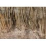 Fototapetti - Dry leaves - landscape of tall grasses in boho style with paint patterns