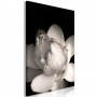 Taulu - Delicacy of Petals in Nature (1-part) - Flower in Black and White