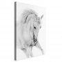 Taulu - White Horse (1 Part) Vertical