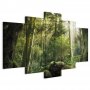 Taulu - The Beauty of the Forest